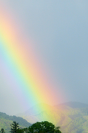 20150520_2_300x450