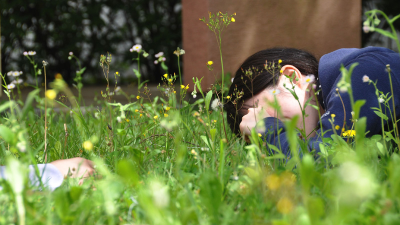 170525_1_800x450