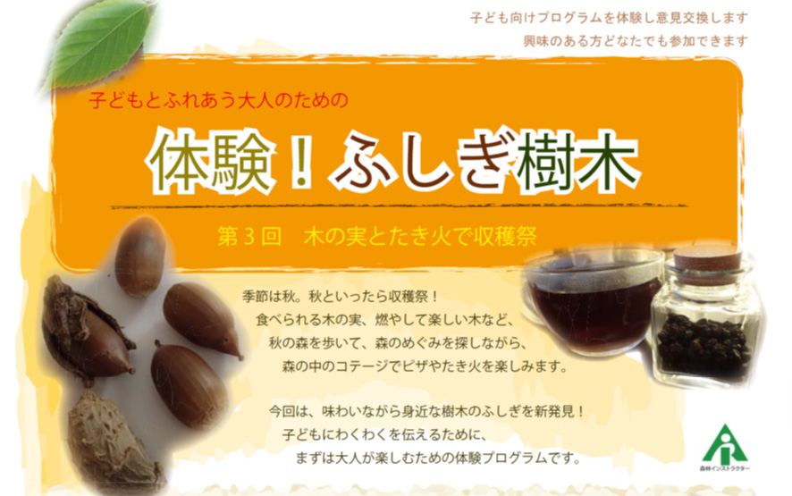 体験不思議樹木