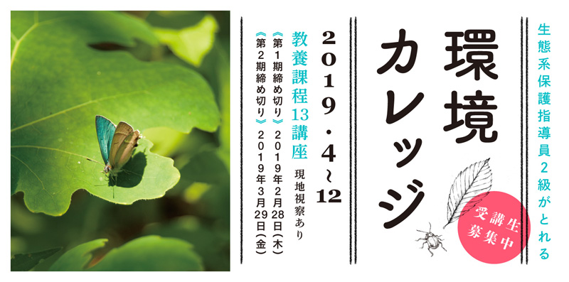 ecosaitama_college_2019