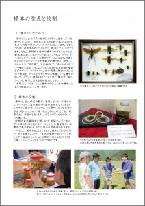 標本の教科書2-1 標本の教科書2-1