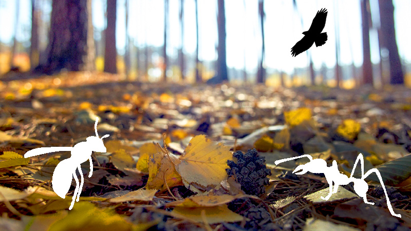 161203_top_800x450 161203_top_800x450