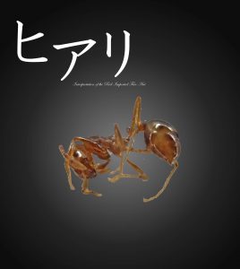 ヒアリ ヒアリ