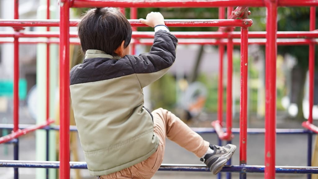 asl-junglegym-1 asl-junglegym-1