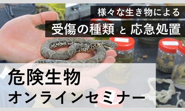 kikenseibutu-online kikenseibutu-online