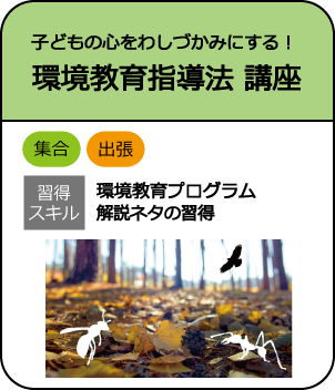 kankyokyoiku-p kankyokyoiku-p
