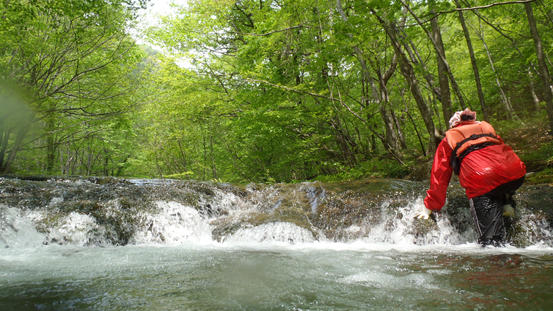20150618_782x440