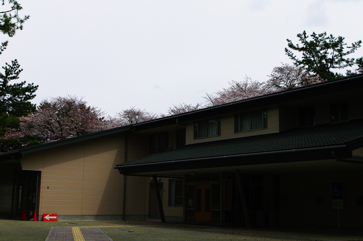 2011.4.8